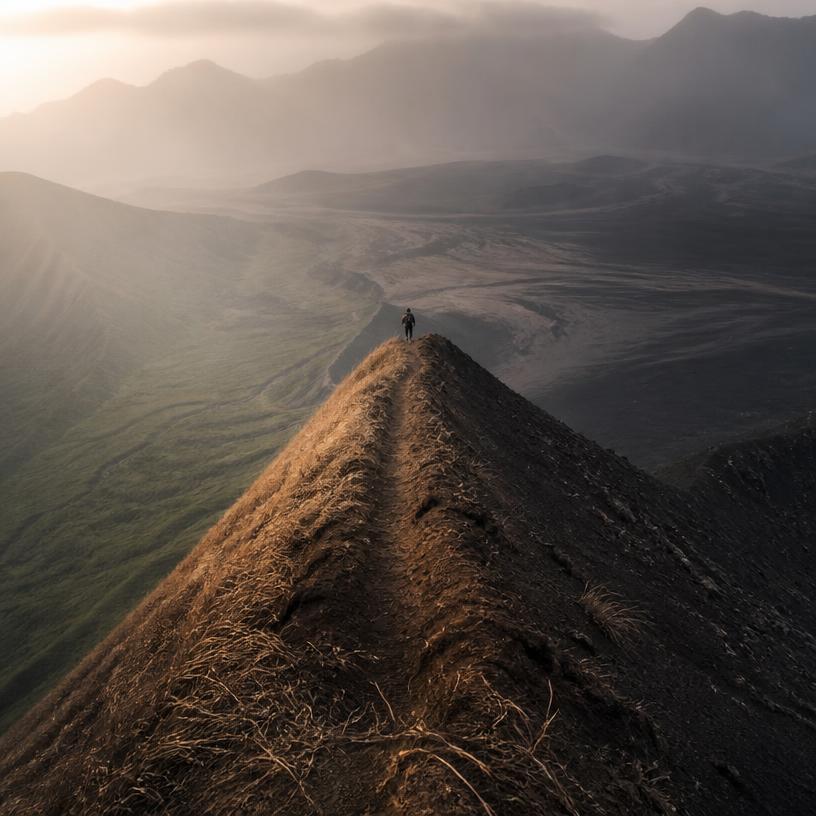Tao: The Fine Line Between Order and Disorder