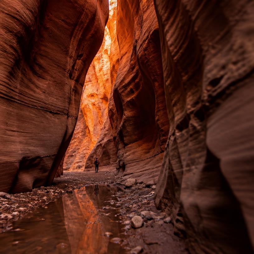 Secrets Beneath the Canyon