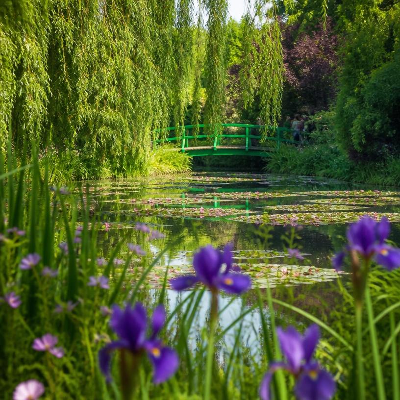 A Walk Through Whimsy: Monet's Garden