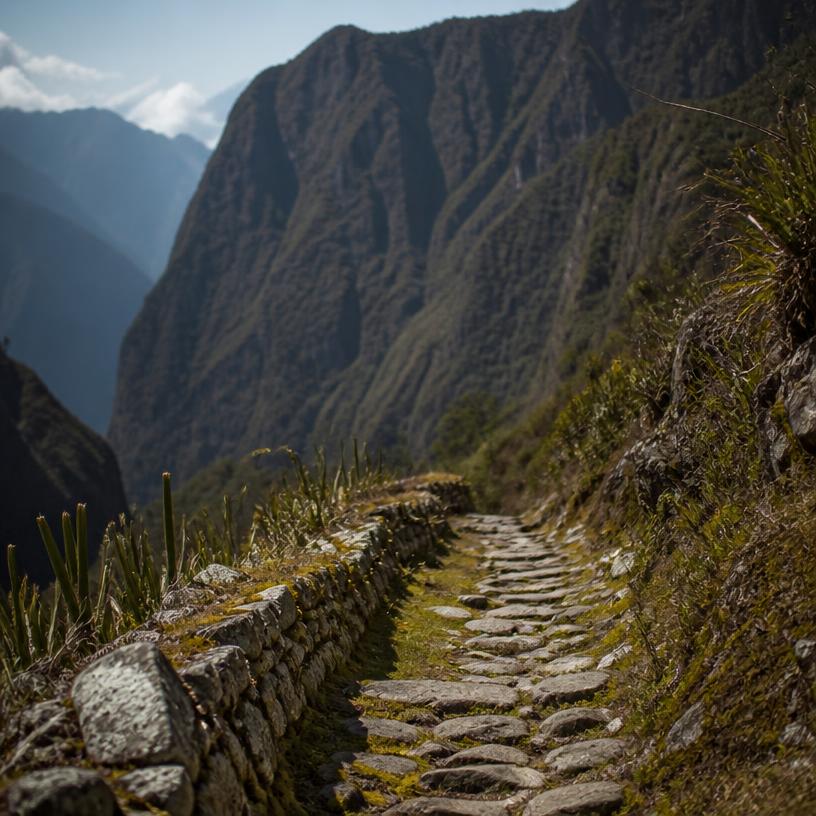 Pathways of the Past: The Inca Roads Unraveled