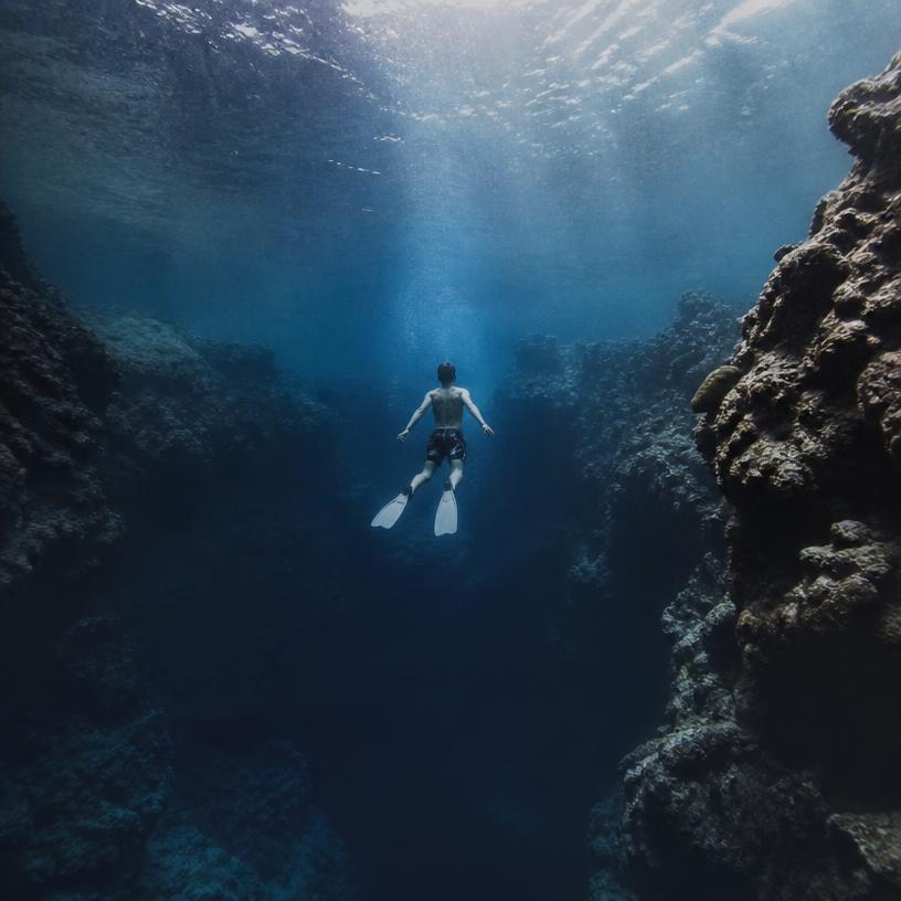 Dive into the Reaction Abyss!